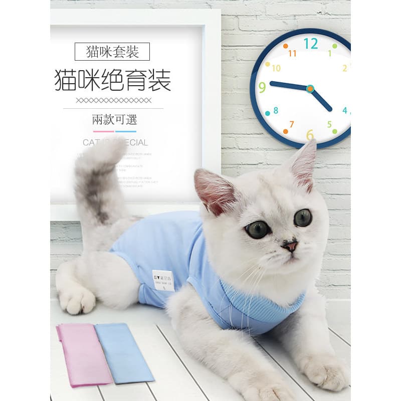 Roupas cirúrgicas para gatos, roupas femininas para esterilização de gatos, roupas para desmame, roupas pós-operatórias,