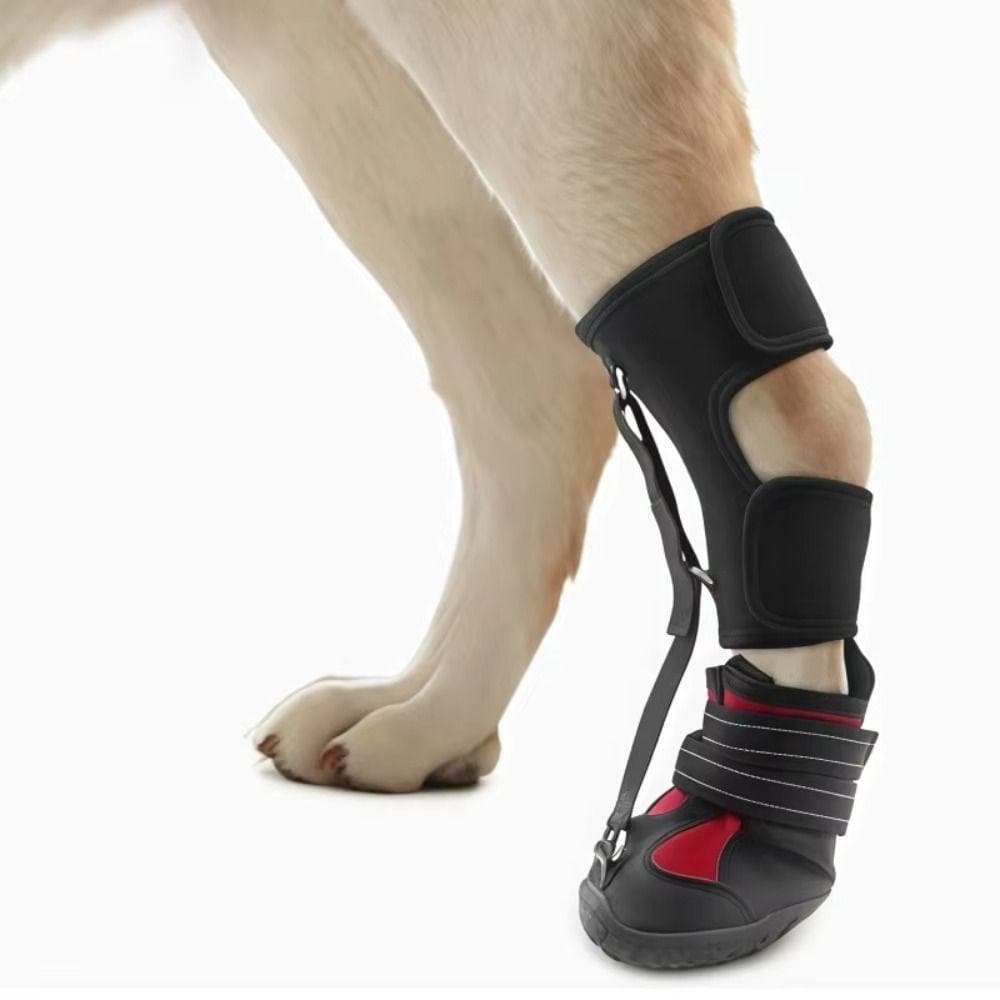 Sapatos Corretivos Para Cães , Com Carretel Respirável Ajustável