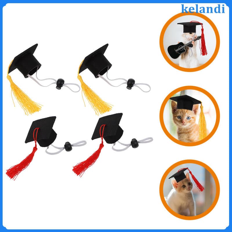 🎉 4Pcs Mini Decorativos - acessórios para photoboot