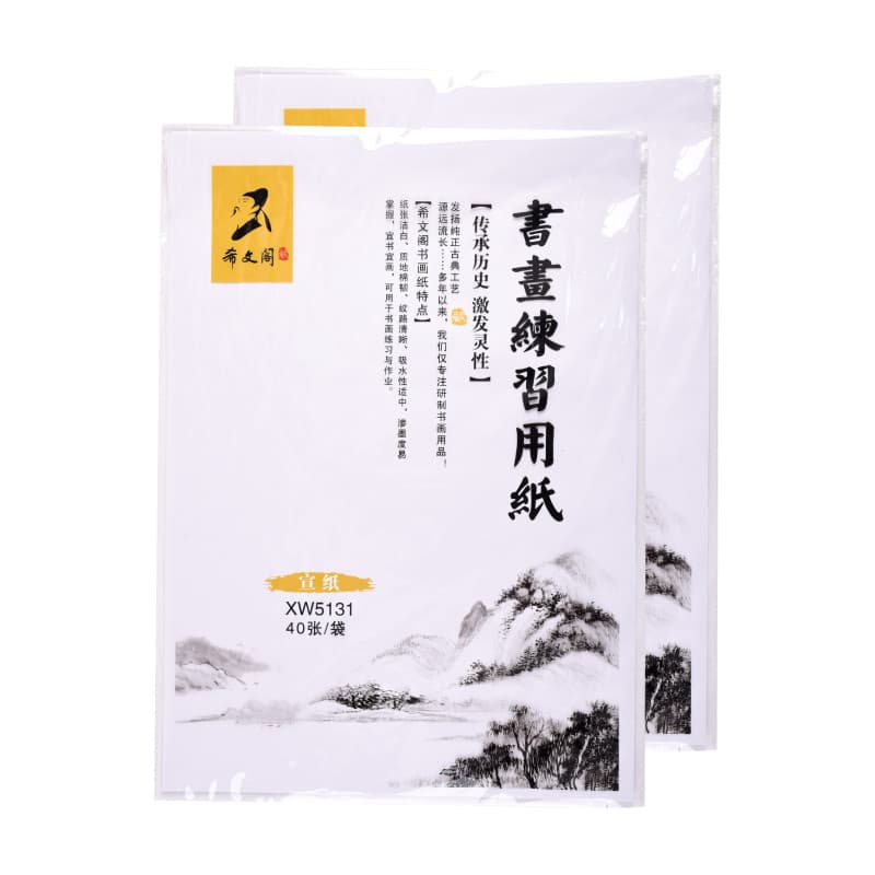 Xiwenge 4K papel de arroz meia matura meia matura Xuan pintura prática livro de papel pintura exame prática adequado par