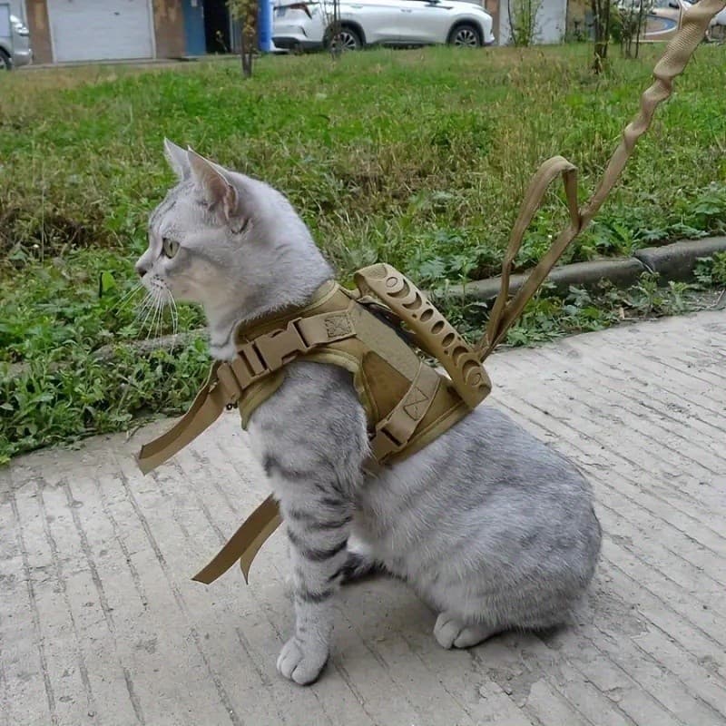 600D Gato Colete Tático Pet Peitoral Colete Filhote de Cachorro Gato Terno de Treinamento Pequeno Colete para Cachorro