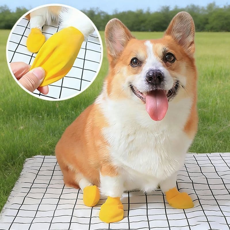 Filhote de cachorro balão sapatos látex à prova dwaterproof água sapato capa suprimentos para animais de estimação cão A