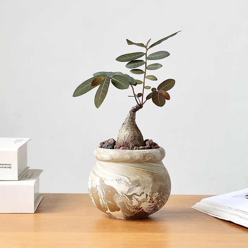 Bonito criativo bola pequeno vaso de cerâmica grés esmalte respirável Mini redondo planta verde vaso planta