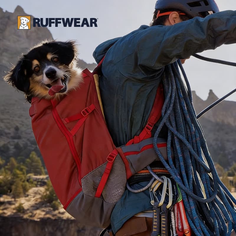 [Novo produto] Ralph Will Edifier Mochila para animais de estimação Bolsa de passeio Mochila resistente ao desgaste de g