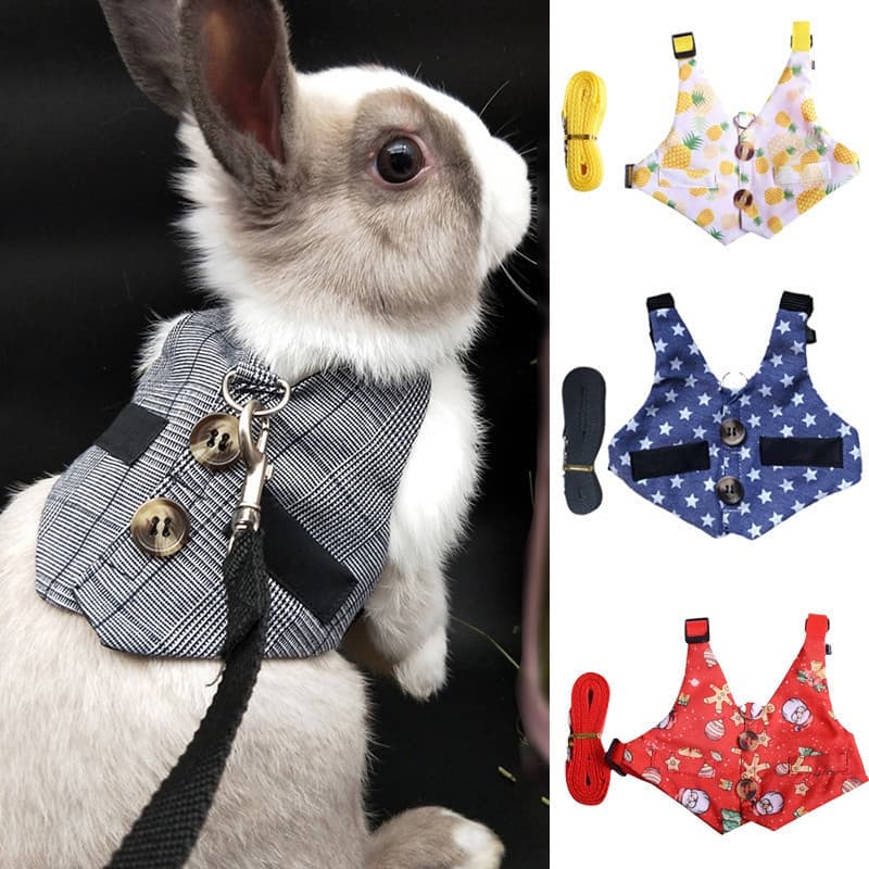 Coelho Arnês E Trela Set Ao Ar Livre Pet Arreios Para Animais De Pequeno Porte Coelhos Cães Vaços De Chá Bunny Cat Suit