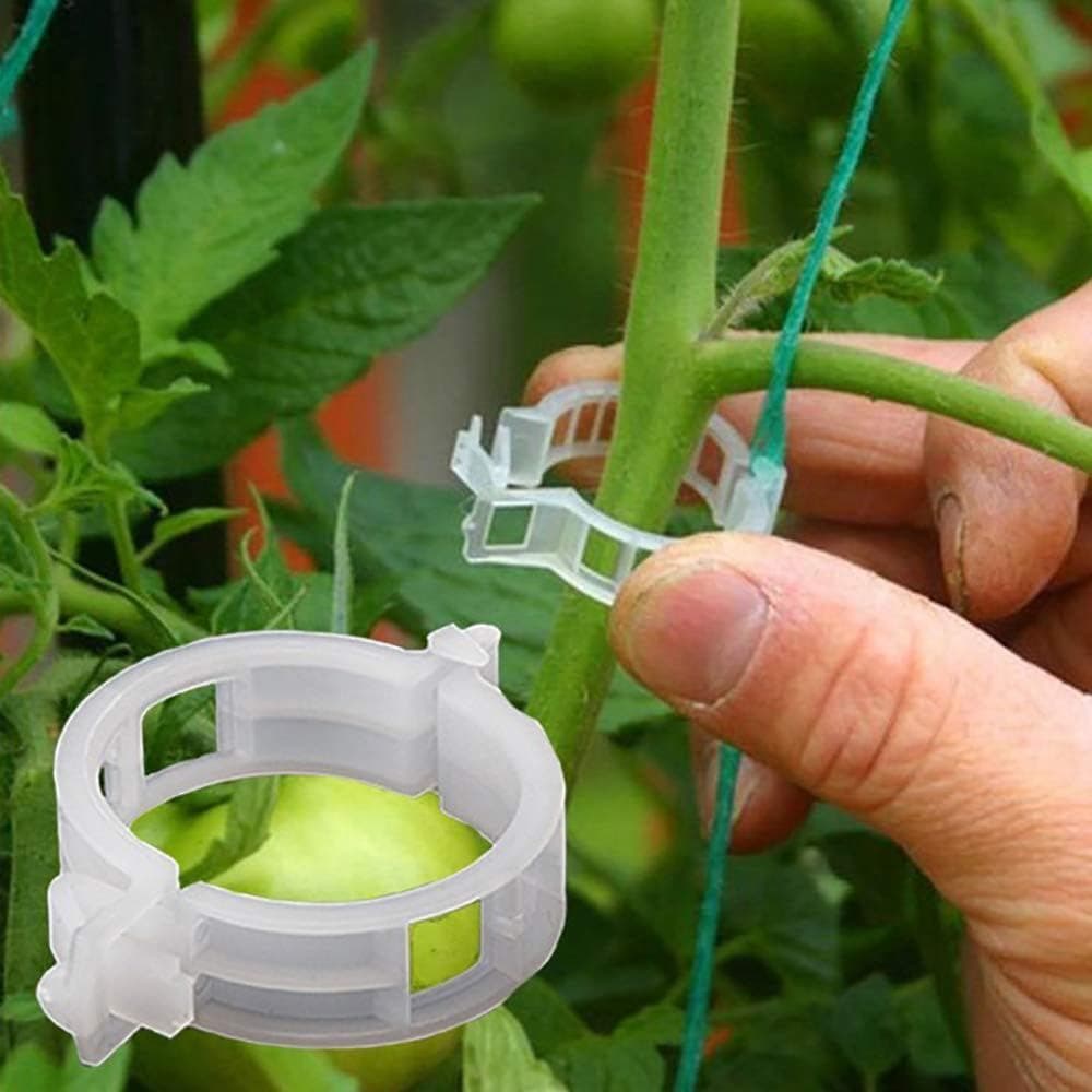 100 Peças de Clipes de Suporte para Plantas, Clipes para Tomate, Suportes/Conectores para Plantas/Fios/Videiras, Treliça