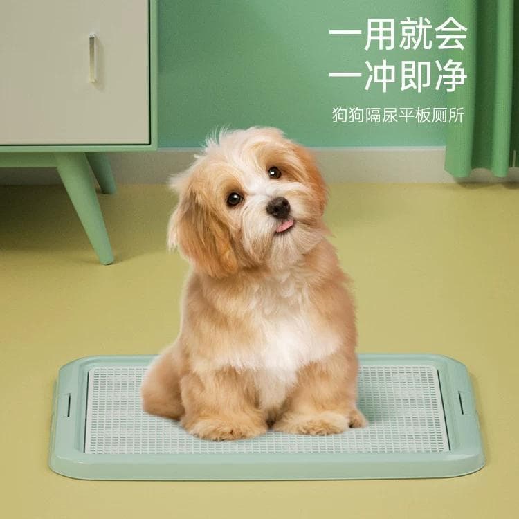 Cão toalete pequeno filhote de cachorro não pés molhados Anti-piso merda toalete do cão grande médio cão plana toalete p