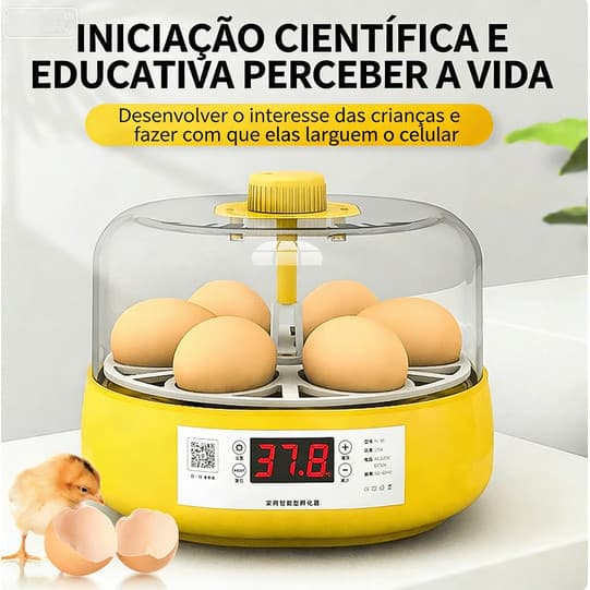 Incubadora Automática De Incubação Para Virar Ovos-Capacidade De 18 Com Controle De Temperatura E Umidade Vista 360