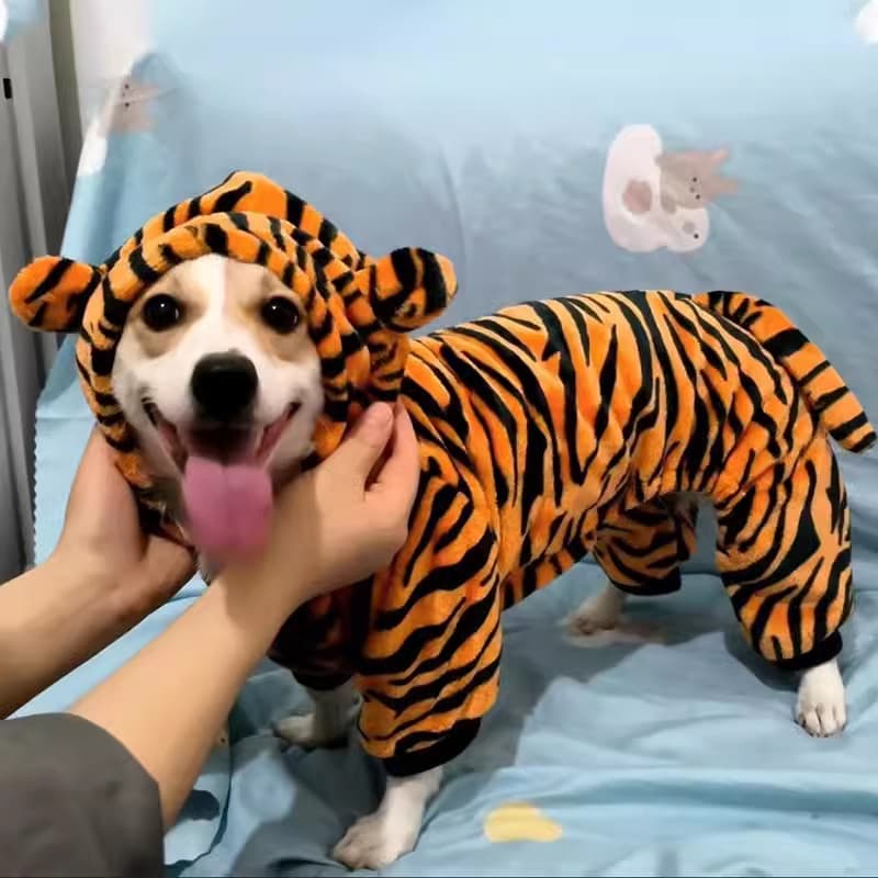 Roupas para cães roupas de transformação fofas outono inverno calor Corgi Teddy Bichon pequenos cães de tamanho médio an