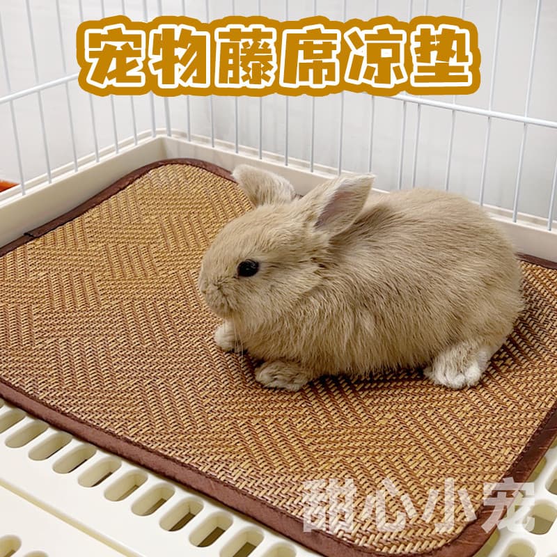 Coelho legal esteira verão legal esteira de resfriamento Pet coelho Hamster meu vizinho Totoro legal esteira de gelo res