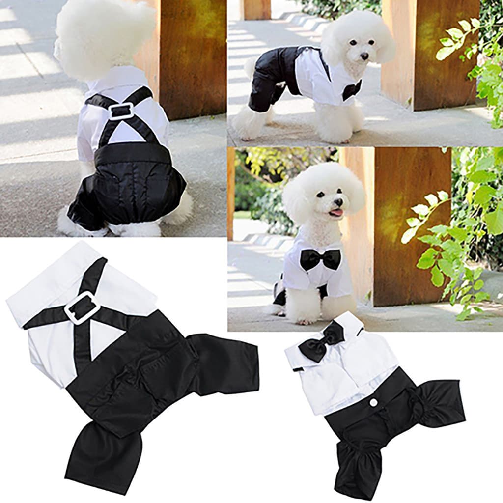 Terno De Gravata Borboleta Para Cachorro Portátil Com Alça De Pano Roupas Elegantes Animais De Estimação Atividades Ao A