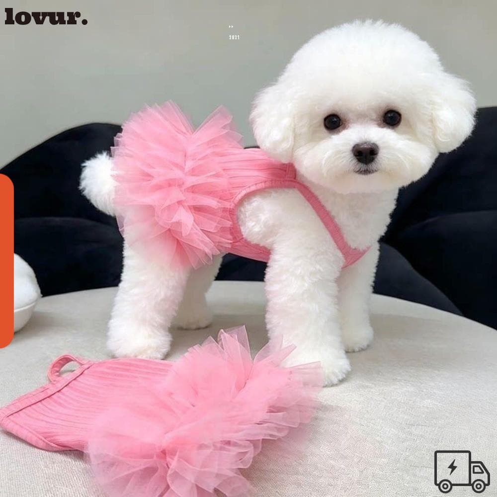 LOVUR Vestido Deslizante Para Cachorro , De Princesa Animais De Estimação Com Bainha De Renda Respirável Macio E Adoráve