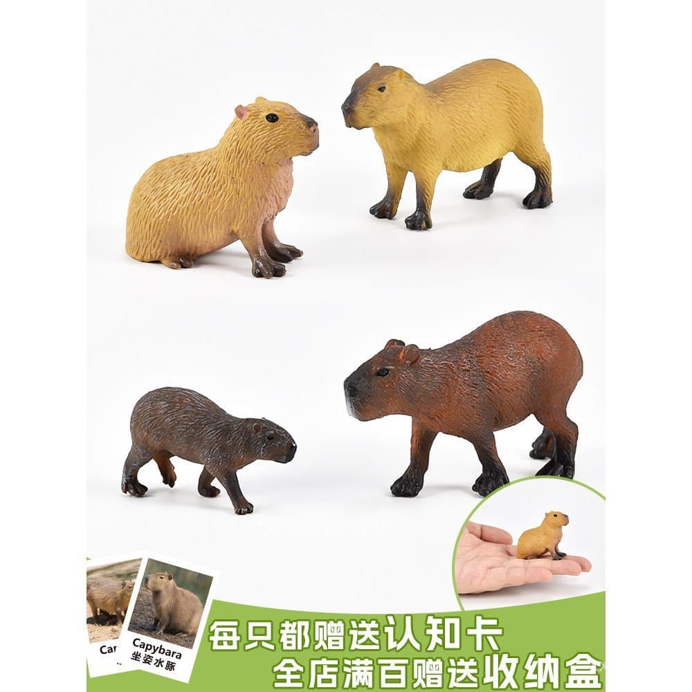 Modelo Simulado de Capivara, Brinquedo de Roedor, Ornamento Educativo de Vida Selvagem, Sólido, para Crianças IB2K