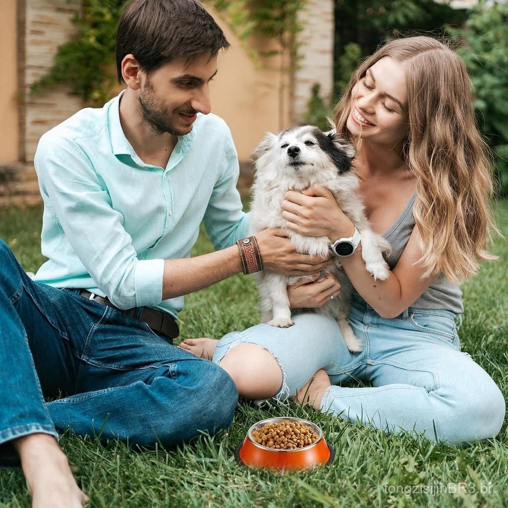 Roshtia 12 Peças de Tigelas para Gato em Aço Inoxidável 6. 4 tigelas de metal de 7 oz para gatos e cães pequenos, empilh