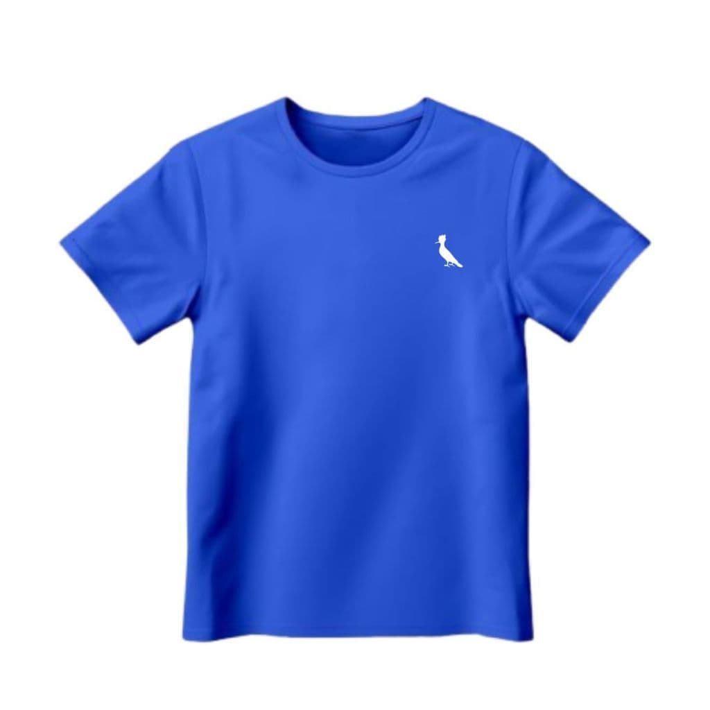 Camiseta Infantil Masculina Juvenil Menino Moderna Básica Festa Passeio