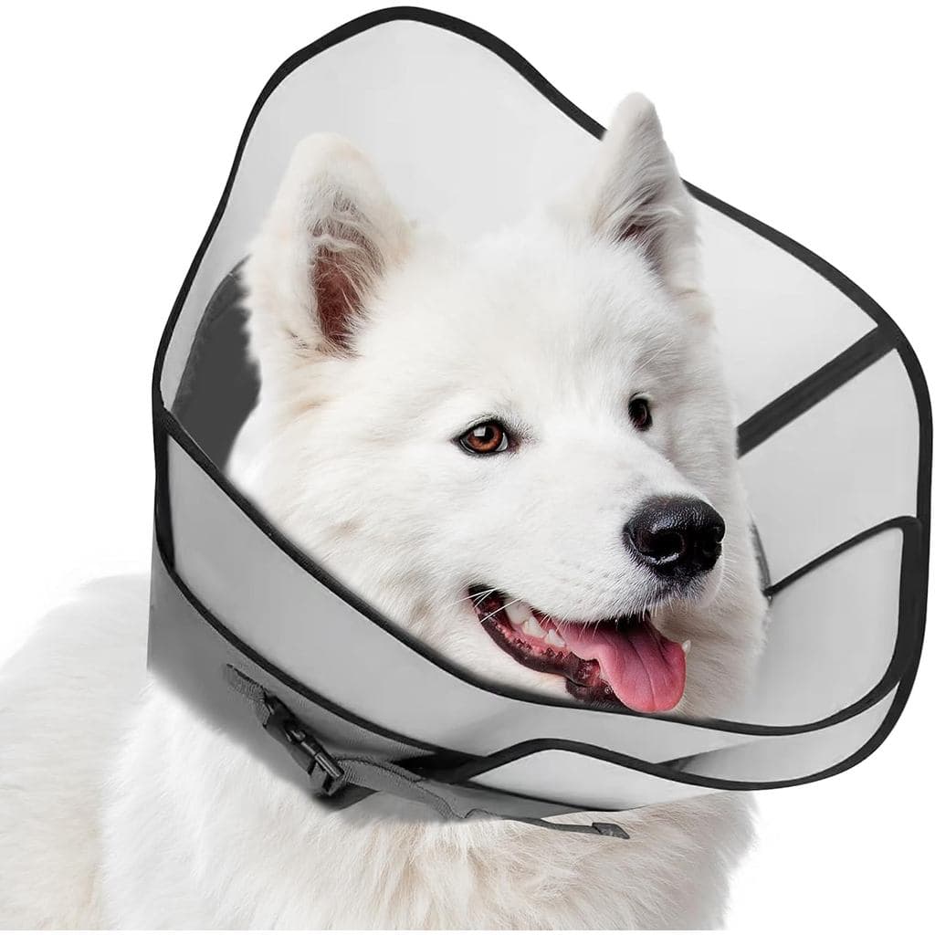 Coleira Protetora Ajustável para Cães para Recuperação Cirúrgica, Coleira Macia para Feridas Pós-Cirurgia para Cães Gran