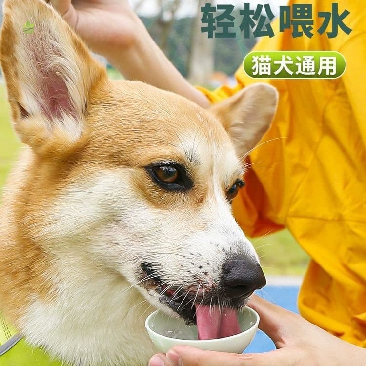 Garrafa De Água Portátil Para Animais De Estimação-Bebedouro Caminhada De Cães Ao Ar Livre E Gatos