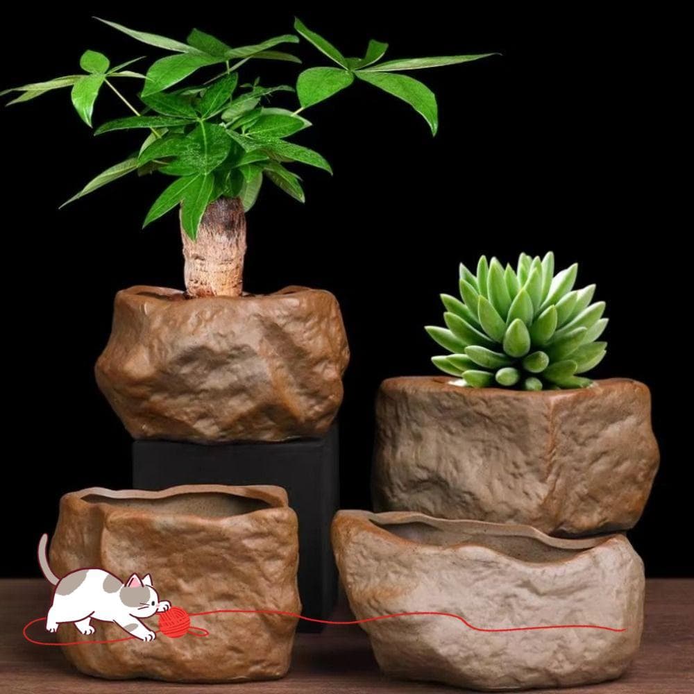 Vasos De Plantas Suculentas , Cerâmica Com Furo De Drenagem Vaso De Flores De Planta , Recipiente De Cultivo Resistente
