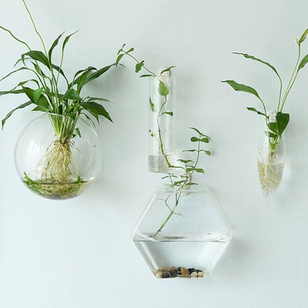 Vaso De Flores Atraente Plantas Hidropônicas Forma Irregular Multi-Estilo Artesanato Em Vidro Hidropônico