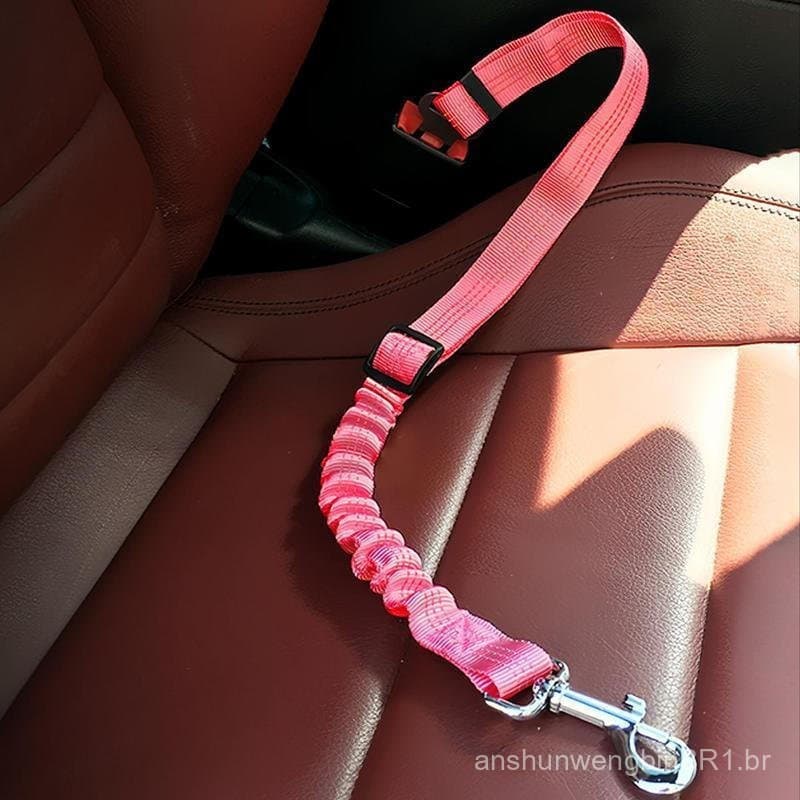 Coleira ajustável para animais de estimação, guia de segurança para gatos, coleira universal para cães e gatos.