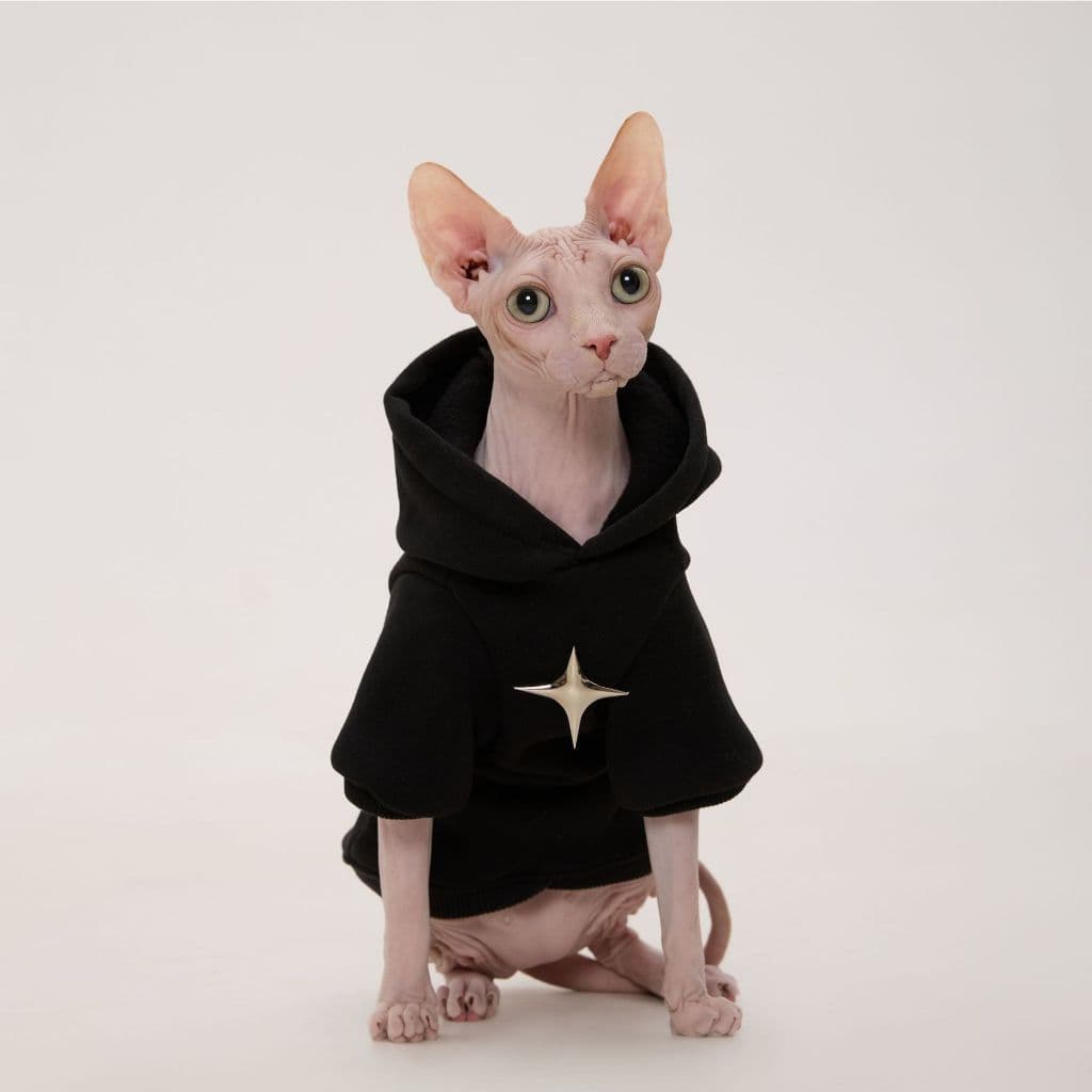 Sphynx Gato Com Capuz Preto Roupas De Luxo