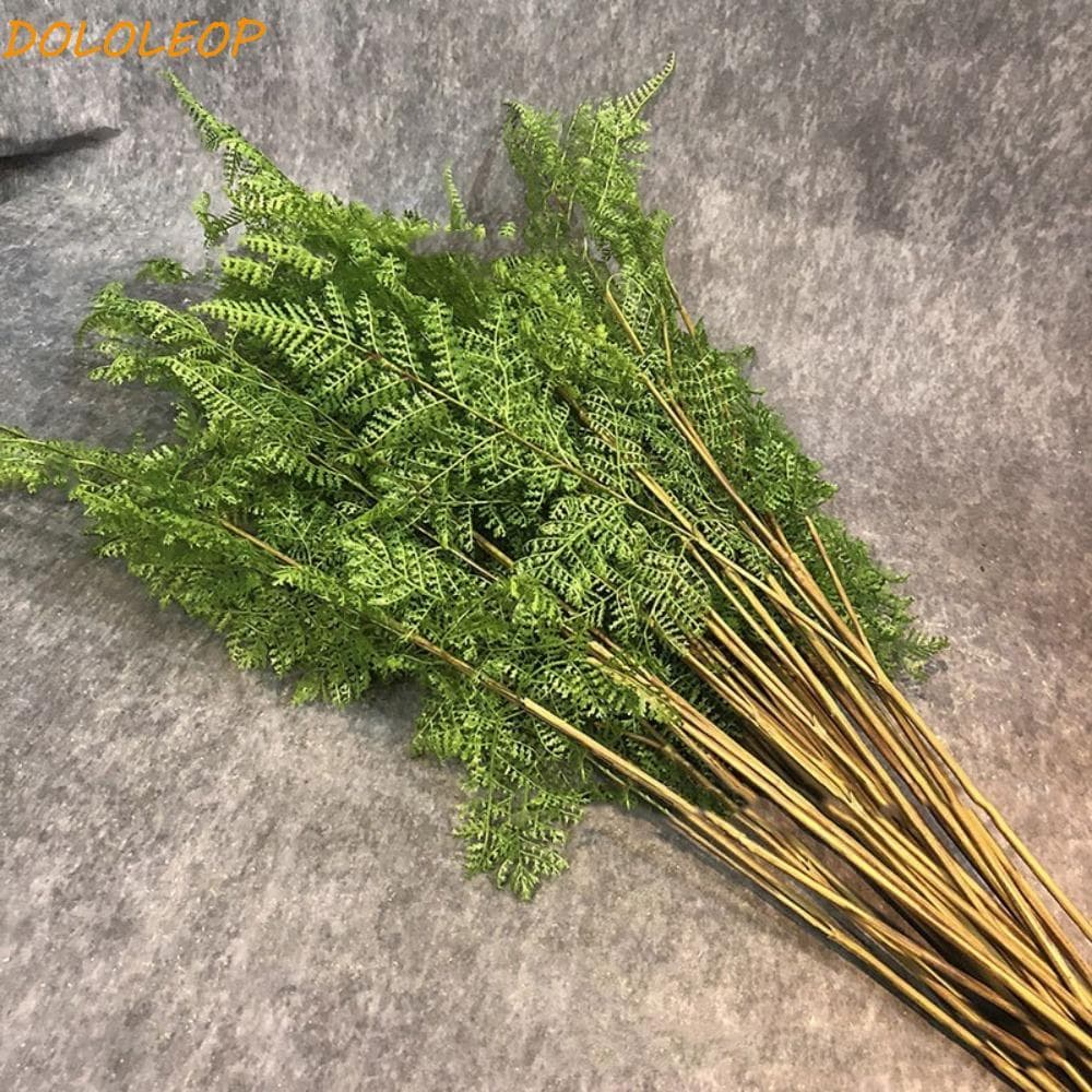 Ramos Artificiais Da Planta Samambaia , Grama Artificial Elegante Vegetação Do Toque Real , Plantas Falsas Realistas