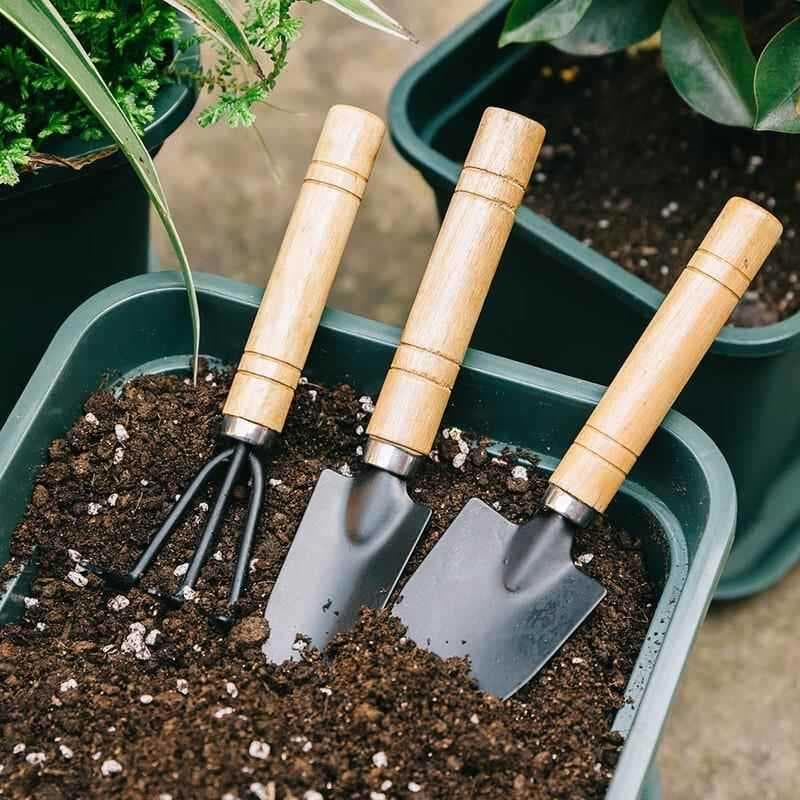 Conjunto de jardim ancinho pá afiada grande ferramenta de jardinagem conjunto de três peças Mini suculentas pá de flores