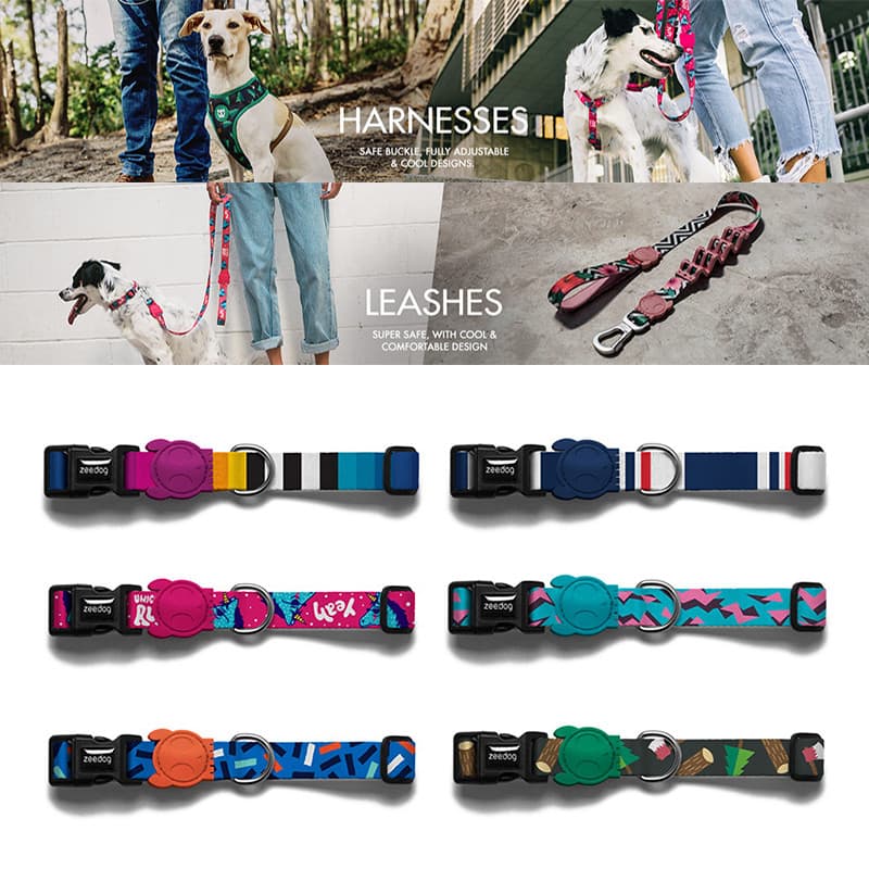 Zeedog Dog Street Wear Coleira Coleira Coleira Corda Golden Retriever Corgi Teddy Pet Pequeno Cão Grande
