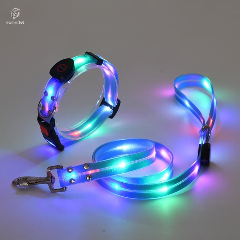 Coleira Brilhante De Carregamento USB Para Animais De Estimação-Alça De Nylon Revestida De PVC LED Alívio De Eczema