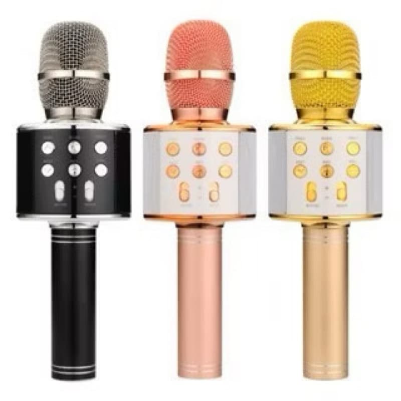 WS-858 - Microfone de Karaoke Infantil Sem Fio, Bluetooth e Educacional