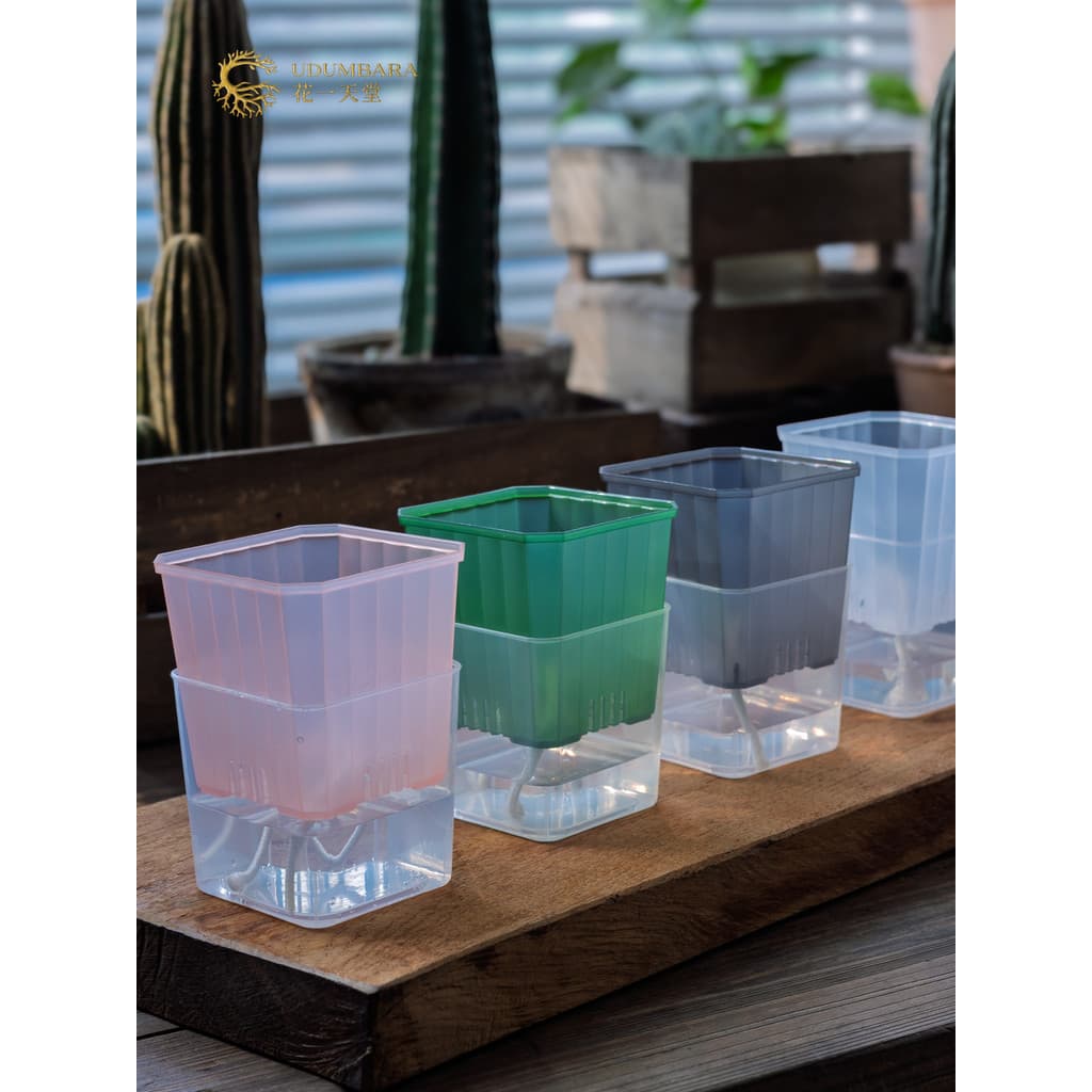 Flor um paraíso cor transparente plástico quadrado vaso de flores hidropônico conjunto pote suculento Phalaenopsis begôn