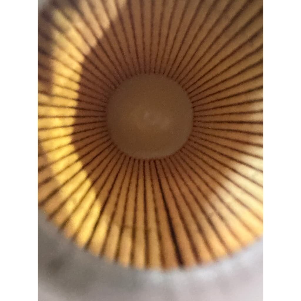 Adequado para modelos da série Chongqi, eixo traseiro, filtro de óleo diferencial, engrenagem, filtro de óleo, acessório