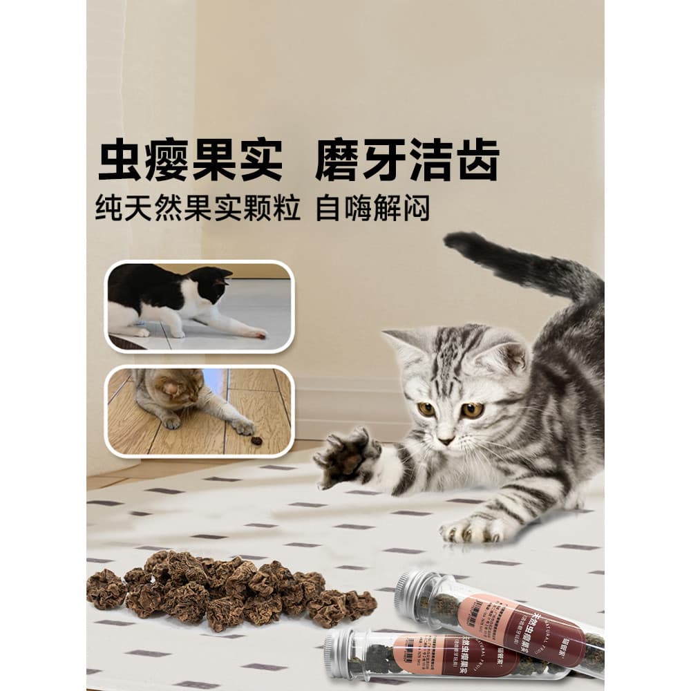 Inseto Gall Fruit Cat Toy Molar Dentes Limpos Insect Gall Fruit Pulseira Auto-Feliz Alívio do Tédio Ferramenta Útil Inse