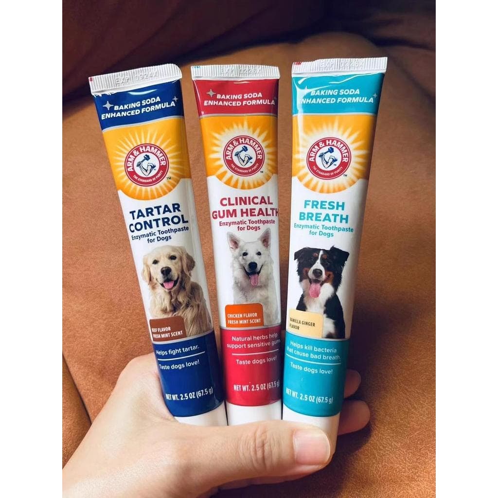 2026 Pet Oral Care Expert Arm & Hammer Arm & Hammer Dog Baking Soda Conjunto de pasta de dente Anti-placa