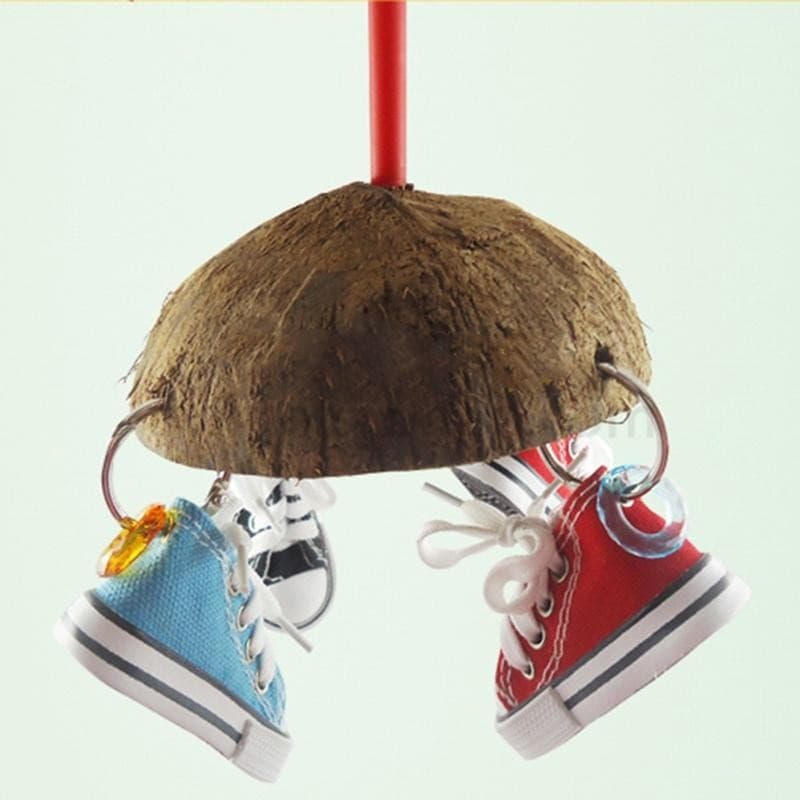 Criatividade Dos Desenhos Animados Mini Sapatos De Lona Pássaros Bonito Papagaio Artesanato Brinquedos LS