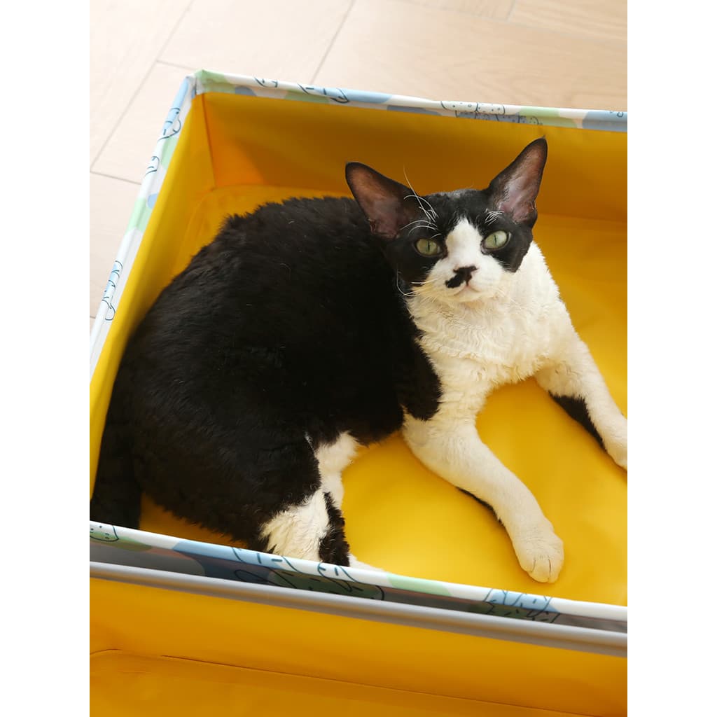 Caixa de areia para gatos portátil, grande, dobrável, temporária, banheiro para gatos, Extra grande, Mi, carro, caixa de