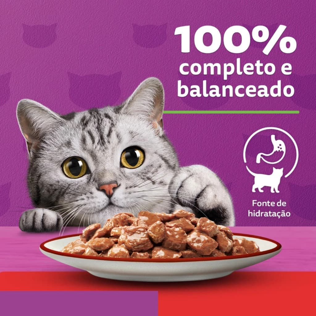 Ração Úmida Whiskas Gatos Adultos Sachê Ao Molho 85g - Carne