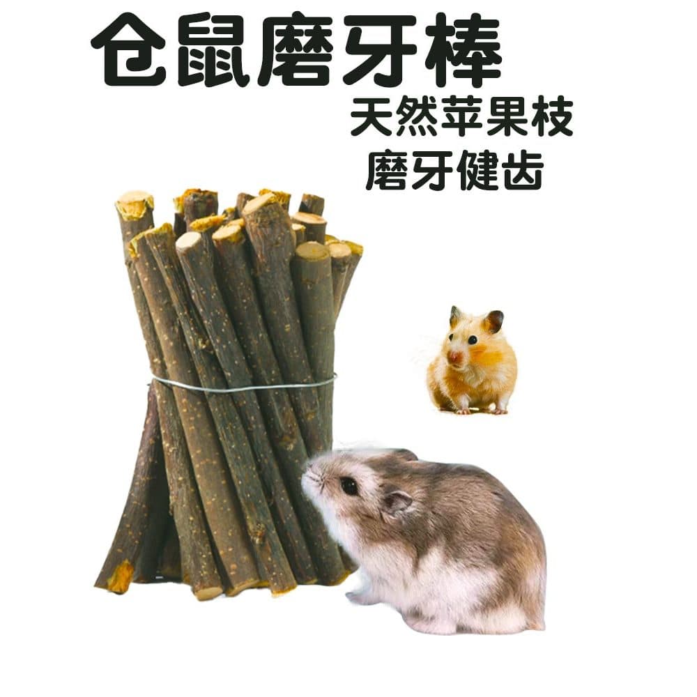 Urso dourado Hamster Molar vara grão maçã ramo madeira comestível aliviar o tédio auto-feliz mordida ferramenta útil pro