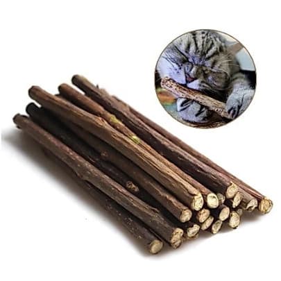 Graveto Erva Do Gato Catnip Matatabi Brinquedo De Gato Pacote com 5 Unidades