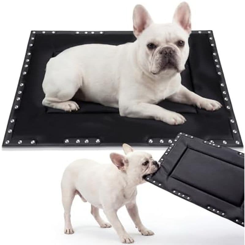 Cama gaiola para cães indestrutível mastigável Colingmill, preta, 58.42 cm X 40.64 cm | Tapete para cães adequado para d