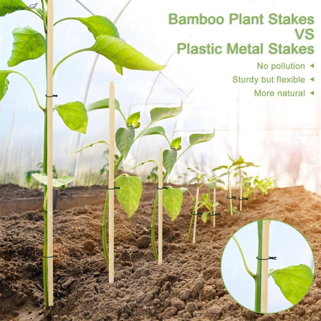 Estacas De Suporte Para Plantas De Bambu De 18 Polegadas Suportes Mudas Natural Jardim De 5 Mm De Espessura De Superfíci