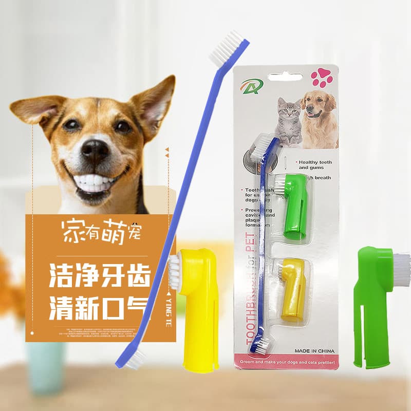Conjunto de pasta de dentes comestível para animais de estimação, gatos, cães, escova de dentes, remoção de cálculo, rem
