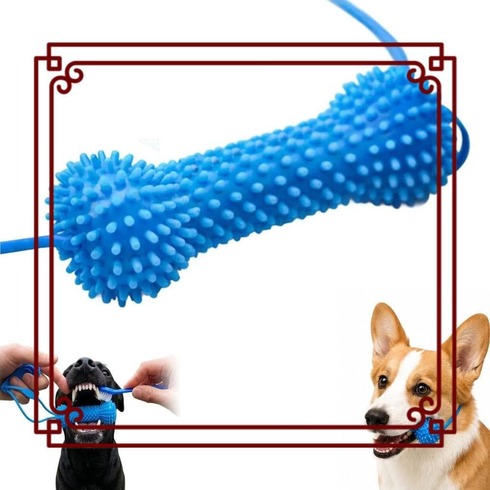 Adereço Canino De Dupla Ação , Brinquedo De Mastigar Para Cães Em PVC De Escovação Rápida De Dentes Azuis