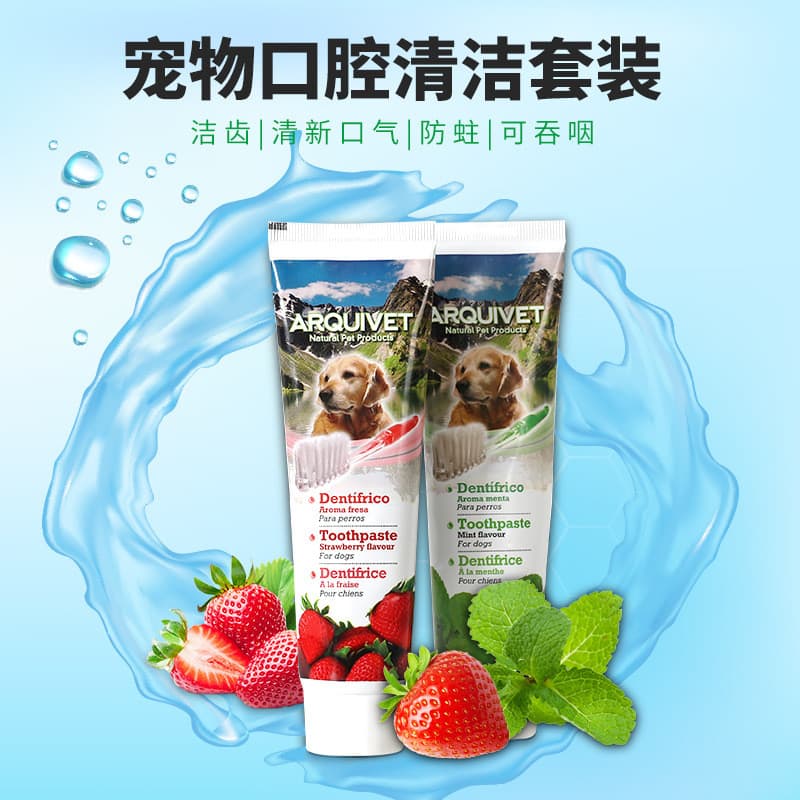 Teddy Golden Retriever Pet cão pasta de dentes conjunto macio remover mau hálito cálculo Dental comestível exportado par