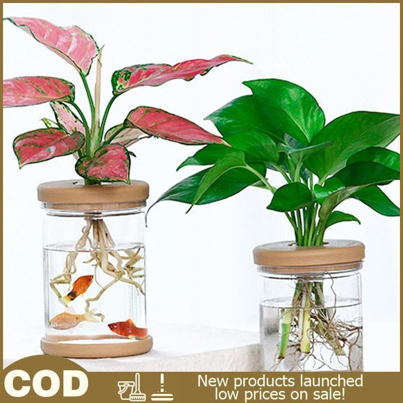 Vaso De Flores Transparente Preguiçoso Hidropônico Com Absorção Automática De Água