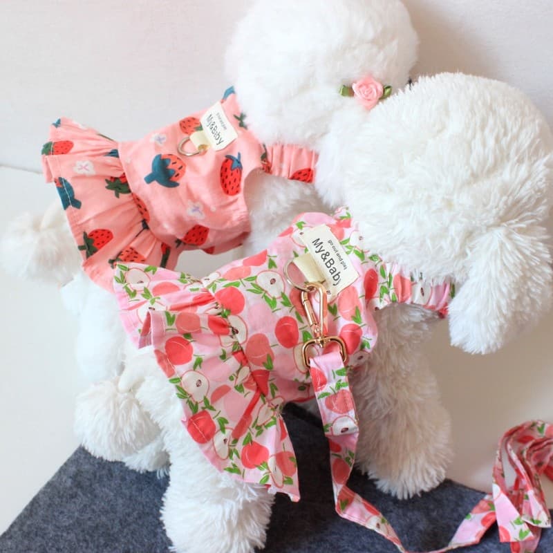 Princesa roupas para cães de estimação com trela pequeno cão Bichon Teddy frutas saia primavera verão saia de algodão fi