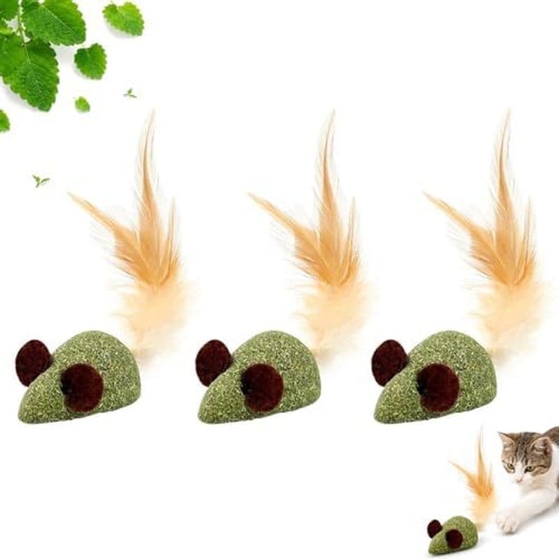 2026 Novo Brinquedo Criativo De Mastigar Dental Para Gato Com Osso De Peixe-Catnip Natural & amp ; Bastão De Limpeza De
