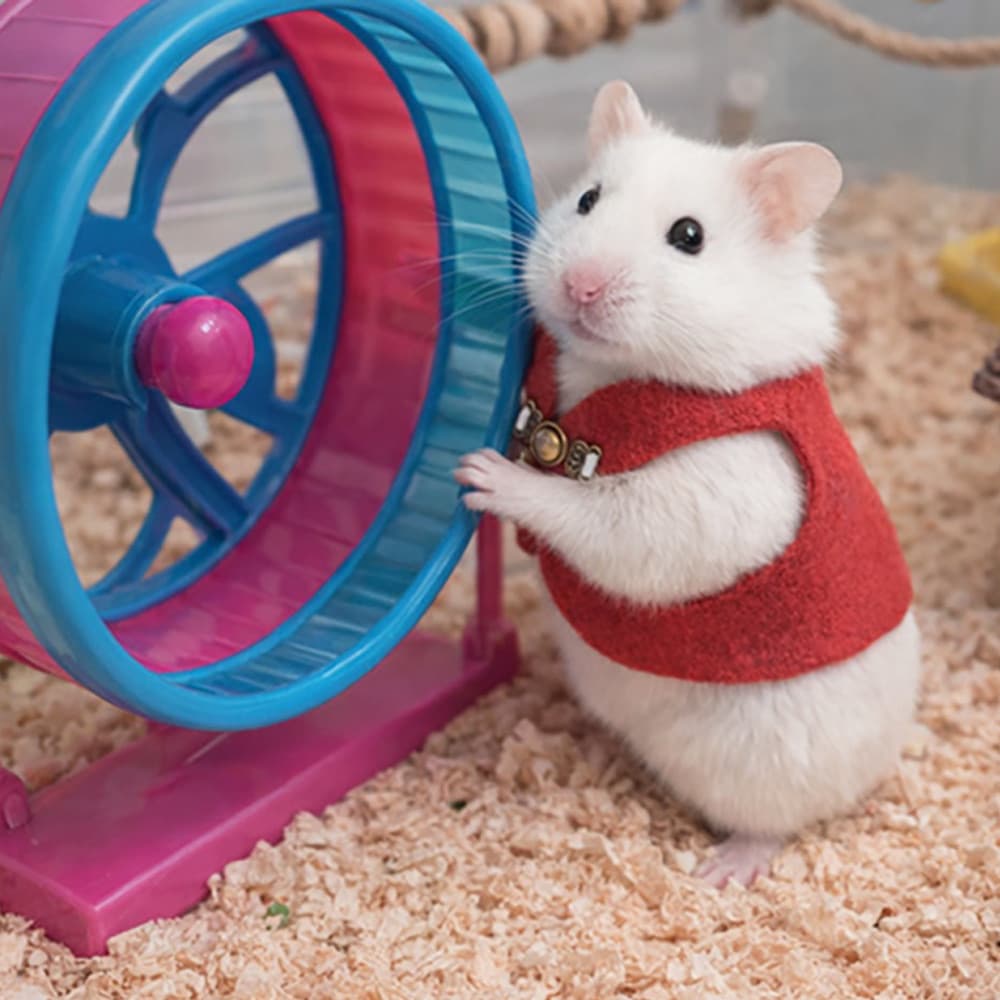 Coletes Ao Ar Livre De Alta Qualidade Para hamsters – Quentes E Fofos