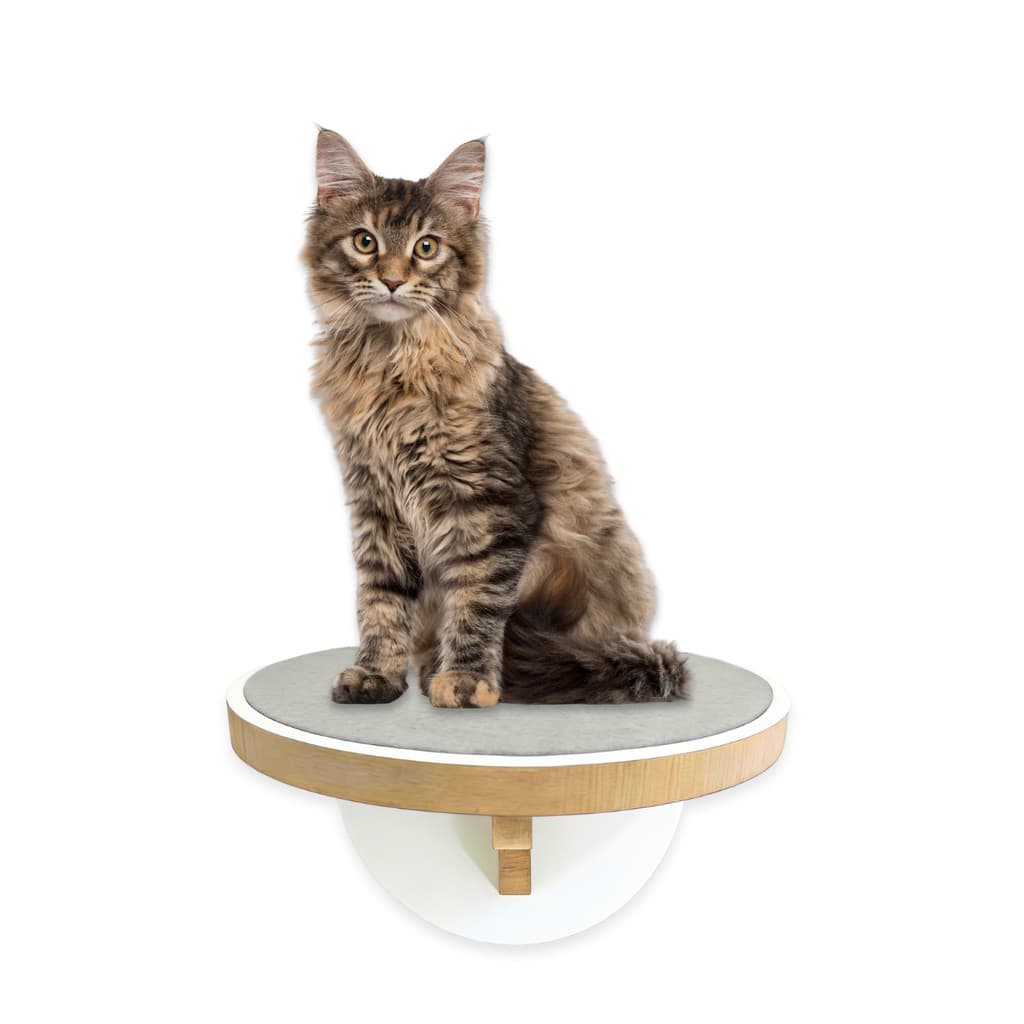 Prateleira Gato Parede  Kit 4pçs MDF 15mm Resistente Até 25kg Carpete Antiderrapante Playground Gatos