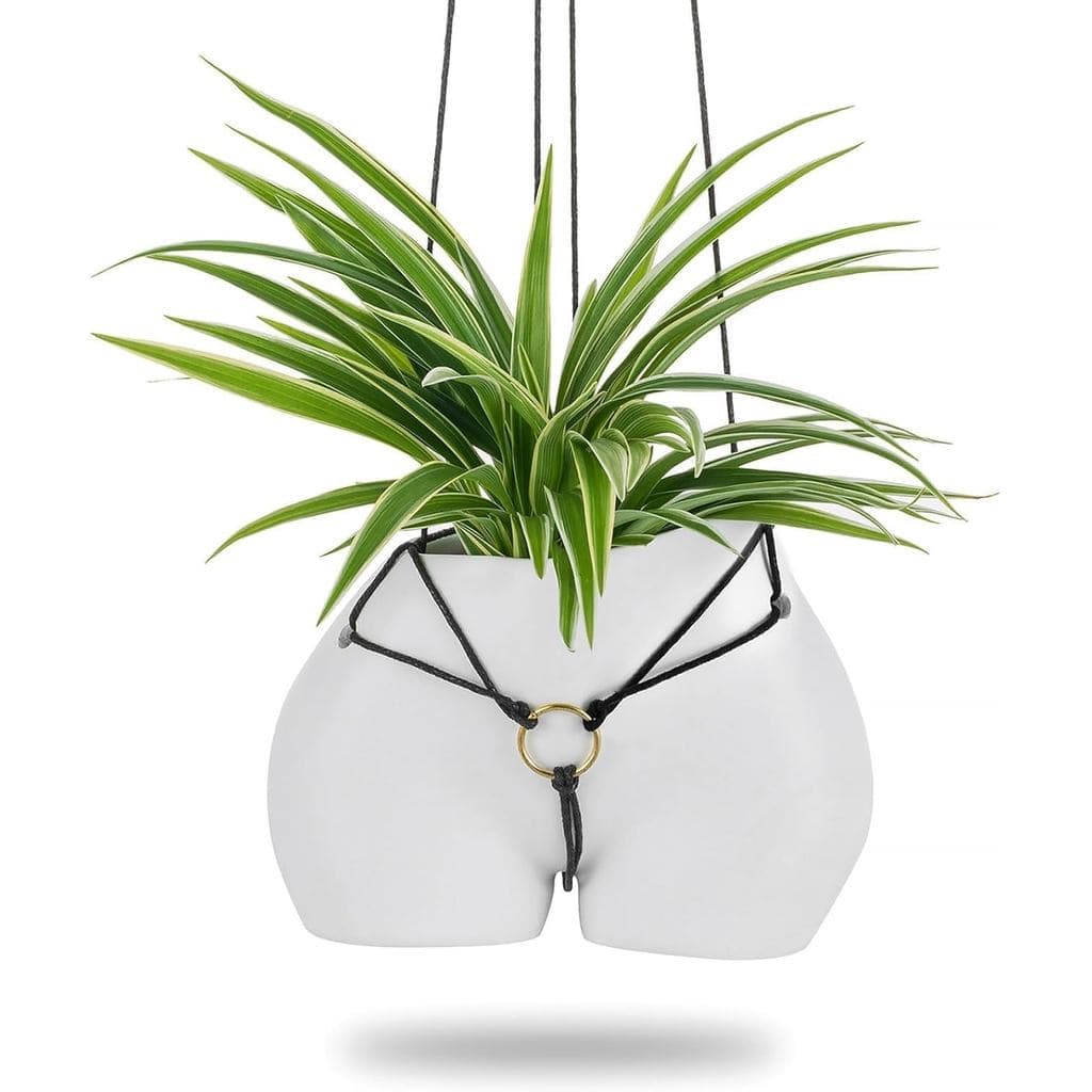 Presente Divertido para Amantes de Plantas: Vaso Suspenso Bonito para Plantas de Interior e Exterior - Vaso Branco de Re